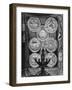 Engraved Board-null-Framed Art Print