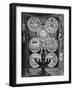 Engraved Board-null-Framed Art Print