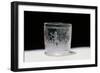 Engraved Glass, 1663, Nuremberg, Germany-null-Framed Giclee Print