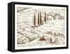 Engraved Hand Drawn in Old Sketch and Vintage Style for Label. Fields Background and Cypress Trees.-Artur Balytskyi-Framed Stretched Canvas