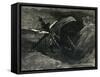 Engraving after the Drawings: Les Travailleurs De La Mer-Victor Hugo-Framed Stretched Canvas