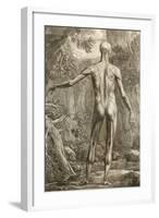 Engraving Depicting the Muscle Groups of the Back, 1747-Jan Wandelaar-Framed Giclee Print