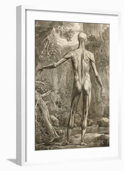 Engraving Depicting the Muscle Groups of the Back, 1747-Jan Wandelaar-Framed Giclee Print