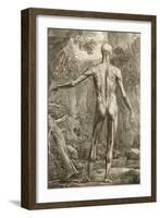 Engraving Depicting the Muscle Groups of the Back, 1747-Jan Wandelaar-Framed Giclee Print