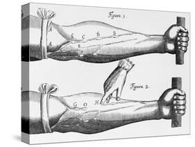 Engraving of a Circulation Experiment-William Harvey-Stretched Canvas