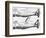 Engraving of a Circulation Experiment-William Harvey-Framed Giclee Print