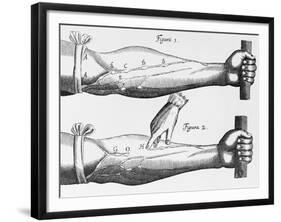 Engraving of a Circulation Experiment-William Harvey-Framed Giclee Print