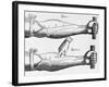 Engraving of a Circulation Experiment-William Harvey-Framed Giclee Print