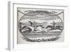 Engraving Of a Horse Race-Thomas Bewick-Framed Giclee Print