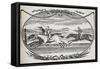 Engraving Of a Horse Race-Thomas Bewick-Framed Stretched Canvas