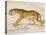 Engraving of a Hunting Leopard from The Naturalist's Library Mammalia-null-Stretched Canvas