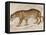 Engraving of a Jaguar from The Naturalist's Library Mammalia-null-Framed Stretched Canvas