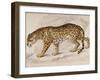 Engraving of a Jaguar from The Naturalist's Library Mammalia-null-Framed Photographic Print