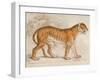 Engraving of a Tiger from The Naturalist's Library Mammalia-null-Framed Photographic Print