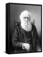 Engraving of British Naturalist Charles Darwin Developed Theory of Evolution by Natural Selection-null-Framed Stretched Canvas