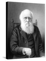 Engraving of British Naturalist Charles Darwin Developed Theory of Evolution by Natural Selection-null-Stretched Canvas