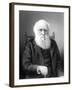 Engraving of British Naturalist Charles Darwin Developed Theory of Evolution by Natural Selection-null-Framed Premium Photographic Print