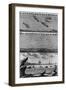 Engraving of Cod Fishing-null-Framed Giclee Print