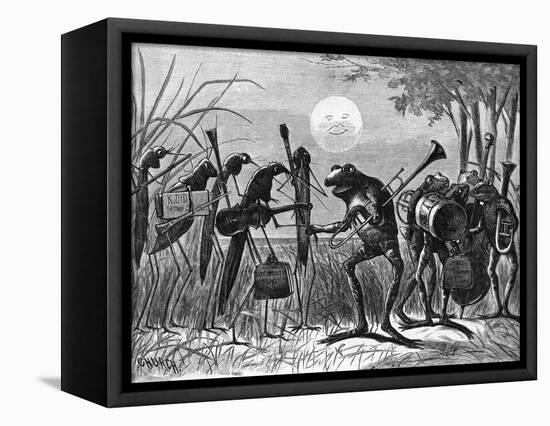 Engraving of Frog and Insect Musicians-null-Framed Stretched Canvas