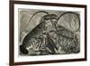Engraving of Lobster and Spring Lobster-null-Framed Giclee Print