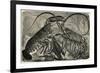 Engraving of Lobster and Spring Lobster-null-Framed Giclee Print