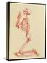 Engraving of Praying Male Skeleton by Cheselden-Mehau Kulyk-Stretched Canvas
