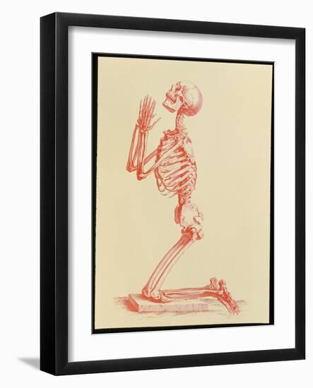 Engraving of Praying Male Skeleton by Cheselden-Mehau Kulyk-Framed Photographic Print