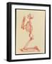 Engraving of Praying Male Skeleton by Cheselden-Mehau Kulyk-Framed Photographic Print