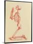 Engraving of Praying Male Skeleton by Cheselden-Mehau Kulyk-Mounted Photographic Print