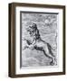 Engraving of the Lion; Constellation-null-Framed Giclee Print