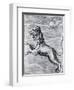 Engraving of the Lion; Constellation-null-Framed Giclee Print