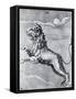 Engraving of the Lion; Constellation-null-Framed Stretched Canvas