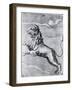 Engraving of the Lion; Constellation-null-Framed Giclee Print