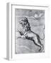 Engraving of the Lion; Constellation-null-Framed Giclee Print