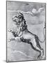 Engraving of the Lion; Constellation-null-Mounted Giclee Print
