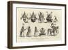 Engraving of the Ten Avatars of Vishnu-null-Framed Giclee Print