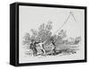 Engraving Of Three Boys Playing With a Kite-Thomas Bewick-Framed Stretched Canvas