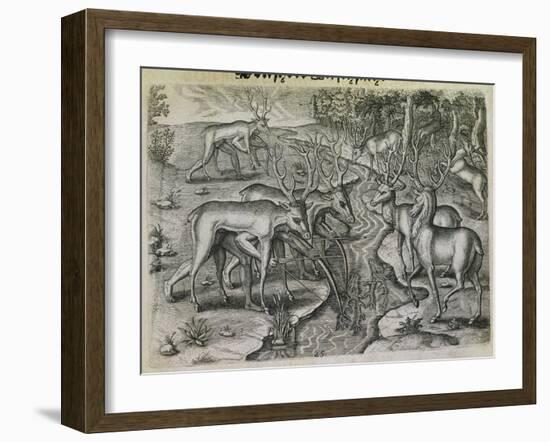 Engraving-Theodor de Bry-Framed Giclee Print