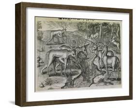 Engraving-Theodor de Bry-Framed Giclee Print