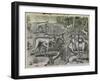 Engraving-Theodor de Bry-Framed Giclee Print