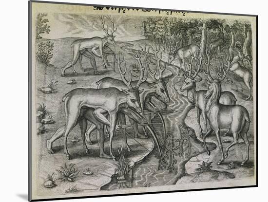 Engraving-Theodor de Bry-Mounted Giclee Print