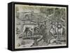 Engraving-Theodor de Bry-Framed Stretched Canvas