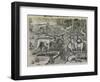 Engraving-Theodor de Bry-Framed Giclee Print