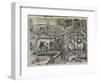 Engraving-Theodor de Bry-Framed Giclee Print