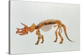 Enhanced Image of a Triceratops Dinosaur Skeleton-Mehau Kulyk-Stretched Canvas