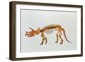 Enhanced Image of a Triceratops Dinosaur Skeleton-Mehau Kulyk-Framed Photographic Print
