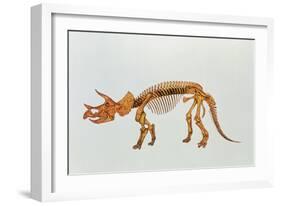 Enhanced Image of a Triceratops Dinosaur Skeleton-Mehau Kulyk-Framed Photographic Print