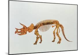 Enhanced Image of a Triceratops Dinosaur Skeleton-Mehau Kulyk-Mounted Photographic Print