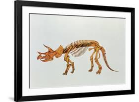 Enhanced Image of a Triceratops Dinosaur Skeleton-Mehau Kulyk-Framed Photographic Print