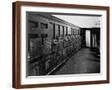 Brown Frame